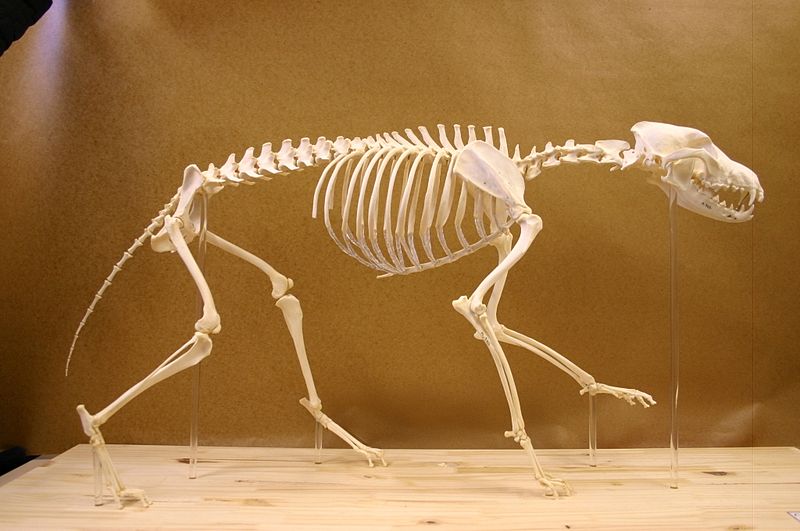 Top 50 Blogs for Zoology Students Best Zoology Blogs